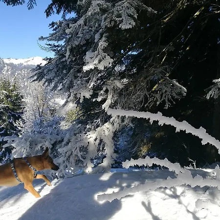 Διαμέρισμα Glockenhof Walchsee