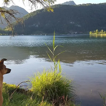 アパート Glockenhof