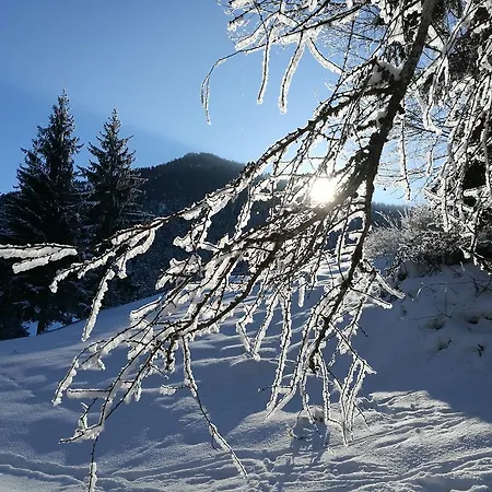 Glockenhof Apartment Walchsee