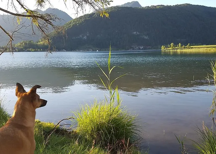 Apartment Glockenhof